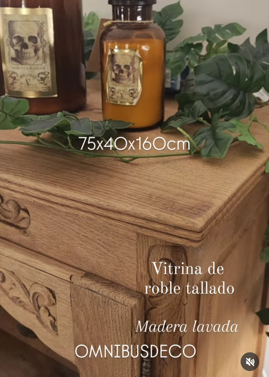 Vitrina roble y cristal